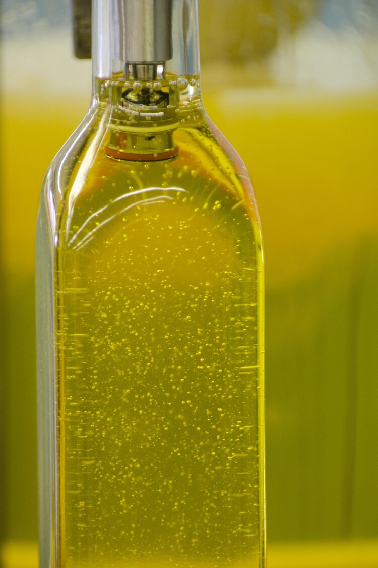 2.5 Gallon Cold Pressed Sunflower Oil